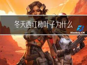 冬天西红柿叶子为什么卷