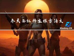 冬天西红柿生根方法大全