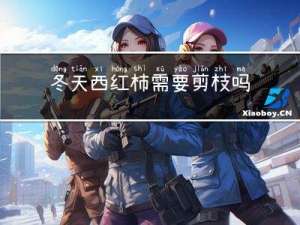 冬天西红柿需要剪枝吗吗