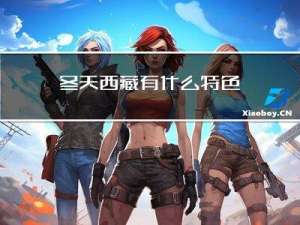 冬天西藏有什么特色