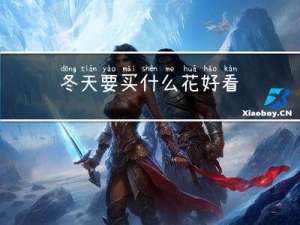 冬天要买什么花好看