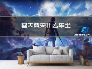冬天要买什么车坐