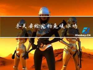 冬天要给宠物兔暖水吗