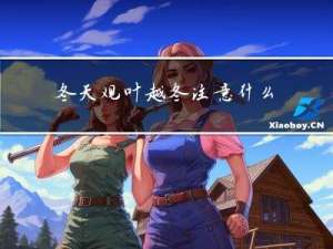 冬天观叶越冬注意什么