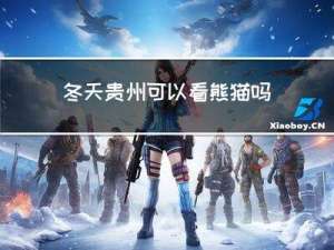 冬天贵州可以看熊猫吗