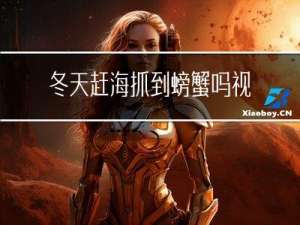 冬天赶海抓到螃蟹吗视频