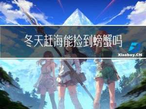 冬天赶海能捡到螃蟹吗