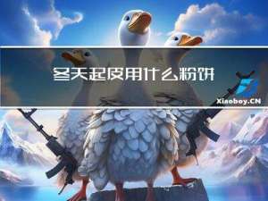 冬天起皮用什么粉饼