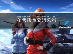 冬天跳蚤会消失吗