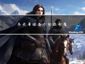 冬天身体各个部位都有什么