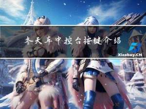 冬天车中控台按键介绍图片