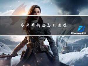 冬天车脚垫怎么清理