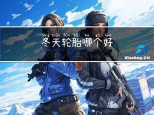 冬天轮胎哪个好