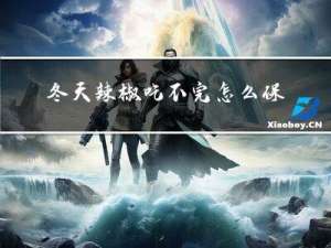 冬天辣椒吃不完怎么保存