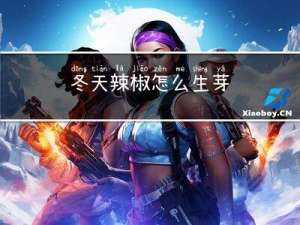 冬天辣椒怎么生芽