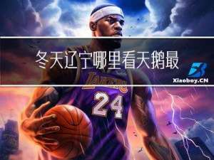 冬天辽宁哪里看天鹅最好