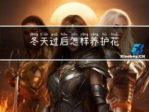 冬天过后怎样养护花