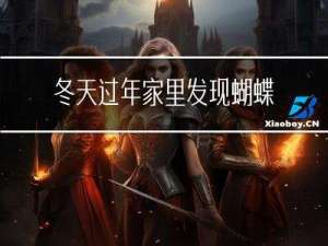 冬天过年家里发现蝴蝶