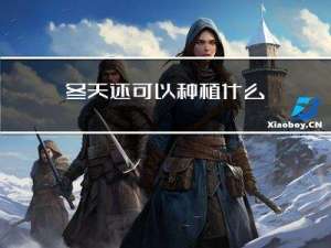 冬天还可以种植什么