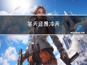 冬天还是冷天
