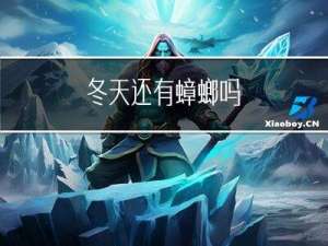 冬天还有蟑螂吗