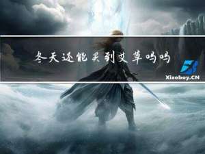 冬天还能买到艾草吗吗