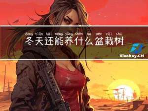 冬天还能养什么盆栽树