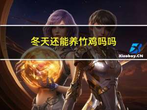 冬天还能养竹鸡吗吗