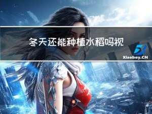冬天还能种植水稻吗视频
