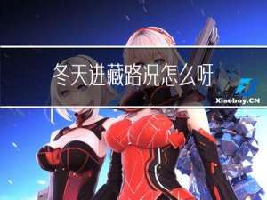 冬天进藏路况怎么呀