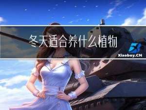 冬天适合养什么植物