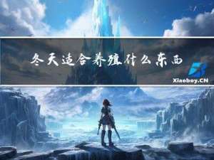 冬天适合养殖什么东西