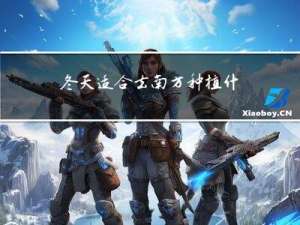 冬天适合去南方种植什么