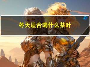 冬天适合喝什么茶叶