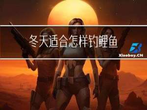 冬天适合怎样钓鲤鱼