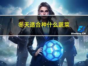 冬天适合种什么蔬菜