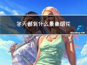 冬天都有什么景象烟花