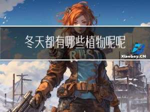 冬天都有哪些植物呢呢