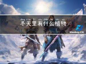 冬天里有什么植物
