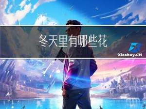 冬天里有哪些花