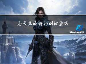 冬天里还能钓到鲤鱼吗