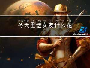冬天里送女友什么花