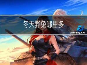冬天野兔哪里多