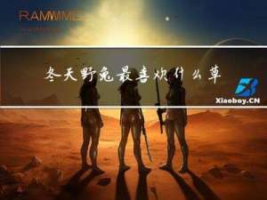冬天野兔最喜欢什么草