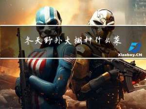 冬天野外大棚种什么菜