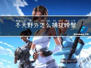 冬天野外怎么捕捉螃蟹呢