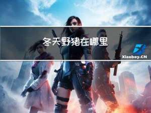 冬天野猪在哪里