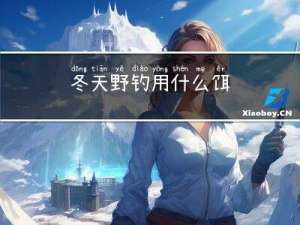 冬天野钓用什么饵