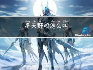 冬天野鸡怎么叫