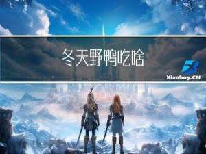 冬天野鸭吃啥